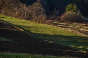 fields and meadow photo