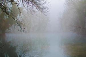 niebla en estanque y bosque foto
