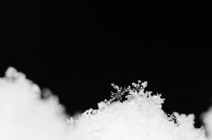 fused snow crystals on black photo