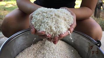The slow motion sprinkling rice by hand. video