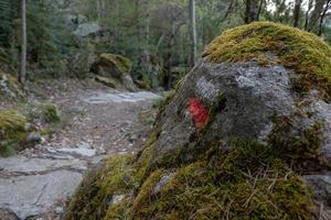 sendero en madriu perafita claror valle en andorra, sitio del patrimonio mundial de la unesco foto