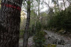 sendero en madriu perafita claror valle en andorra, sitio del patrimonio mundial de la unesco foto