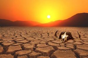 Global warming, drought, lack of rain, no seasonality The land is cracked. concept of environment change and global warming photo