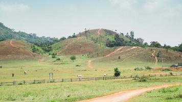 Grass Mountain, Ranong Province, in Thailand is unusually beautiful as a tourist attraction. Thailand tourism concept photo