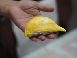 carne de corteza afilada de fruta durian en el dulce color amarillo en la mano foto