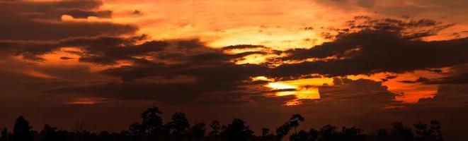 hermoso cielo al atardecer. paisaje de nubes puesta de sol dorada sobre el árbol de la silueta. vista panorámica de nubes oscuras y cielo naranja. belleza en la naturaleza. cielo espectacular puesta de sol. cielo cielo concepto de atardecer y amanecer. foto