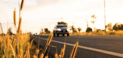 Flower of grass with blurred background of car and asphalt road, blue sky, white clouds and electric pole at countryside photo