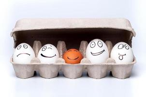 chicken eggs on isolated background photo