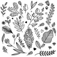 Tropical Leaves in doodle style. Vector hand drawn black line design elements.