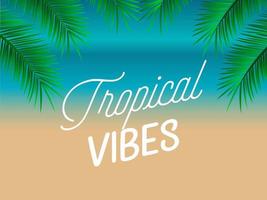 tropical vibes design with exotic palm leaves vector