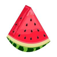 watermelon slice on white background vector