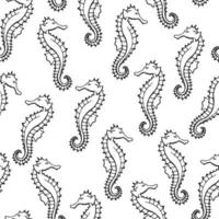 patrón sin costuras con caballitos de mar. fondo marino. ilustración vectorial dibujada a mano en estilo boceto. vector