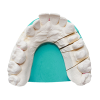 Positive teeth cast transparent PNG