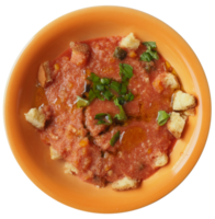 plato de gazpacho español png transparente