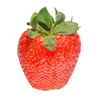 aardbei fruit transparant png