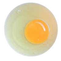 huevo transparente png