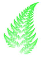 Green fern fractal transparent PNG