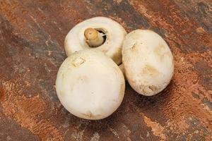 Raw Champignon heap for cooking photo