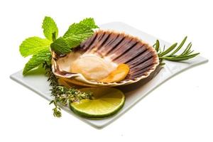 Scallop with asparagus, lime, mint and rosemary photo