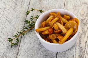 Pickled honey agaric photo