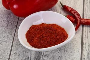 Paprika powder in the bowl photo