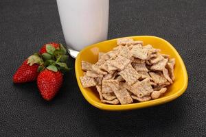 Wheat flakes for breakfast photo