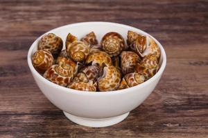 Tasty mollusk - spotted Babylon in the bowl photo