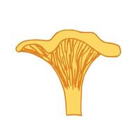 Hand-drawn simple vector color sketch. Forest bright edible chanterelle mushroom isolated on a white background. For prints, labels, stickers.