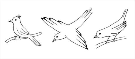 Hand-drawn black outline vector set of simple little birds isolated on white background, sitting on a branch, in flight.