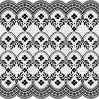 Seamless white floral lace pattern vector