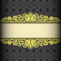 Vector Damask Pattern and Frame