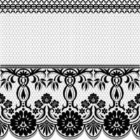 Seamless white floral lace pattern vector