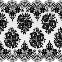 Seamless white floral lace pattern vector