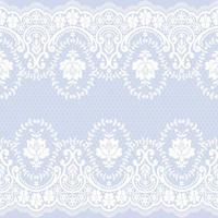 Lace seamless pattern with flowers vector