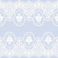 Lace seamless pattern with flowers vector