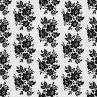 Seamless white floral lace pattern vector