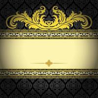 Vector Damask Pattern and Frame