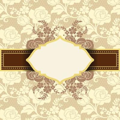Vector Damask Pattern and Frame