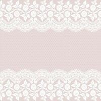 Seamless white floral lace pattern vector