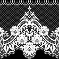 Seamless white floral lace pattern vector