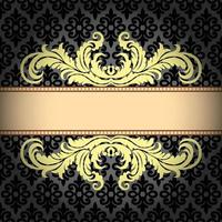 Vector Damask Pattern and Frame