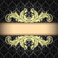 Vector Damask Pattern and Frame