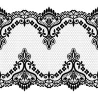 Lace seamless pattern with flowers vector