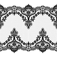 Lace seamless pattern with flowers vector