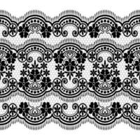 Seamless white floral lace pattern vector