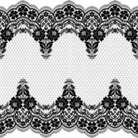 Seamless white floral lace pattern vector