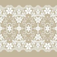 Lace seamless pattern with flowers vector