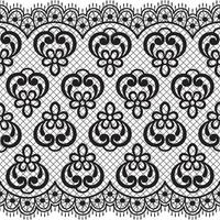 Lace seamless pattern with flowers vector