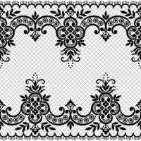 Lace seamless pattern with flowers vector