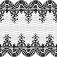 Seamless white floral lace pattern vector